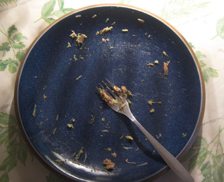 Empty Plate Fishcakes -25.08.09